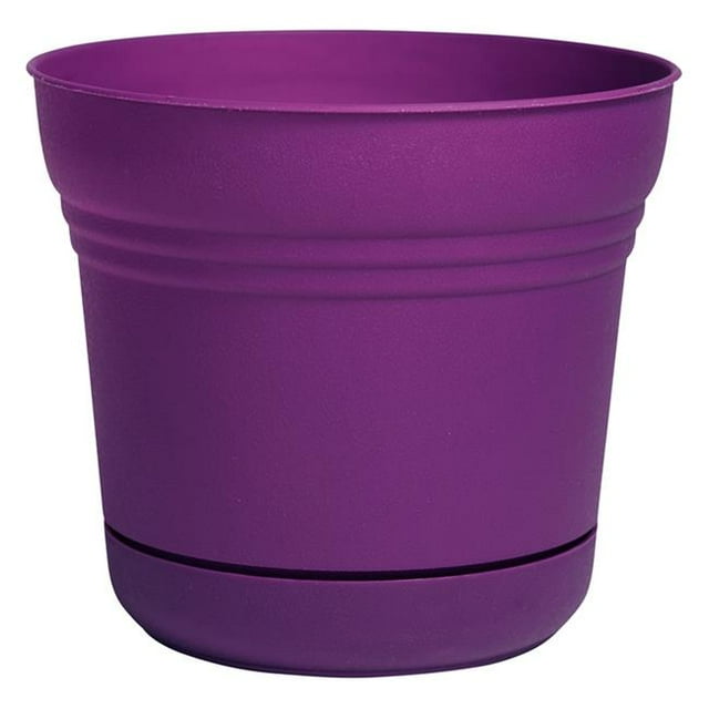 Bloem SP1029 10 in. Saturn Planter, Passion Fruit