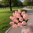 thumbnail image 6 of YiFudd Romantic Tulip Night Light, 10pc Artificial Flower Night Light,Tulip Night Light Warm Glow LED Bouquet, Pink, 6 of 6