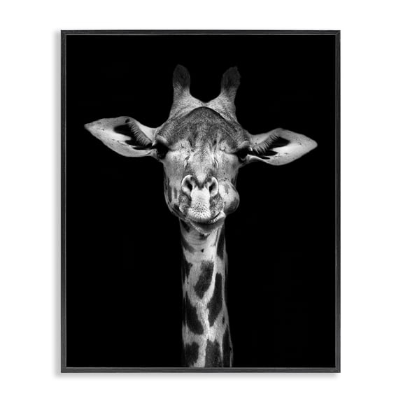 Stupell Industries Traditional Greyscale Zebra Stripes Detailed Photography Portrait Black Framed Giclee Art, 11 x 14, by Incado