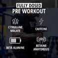 thumbnail image 4 of Pre Workout Powder TC Nutrition, lote 27, 20 unidades, osito de goma agrio, 4 of 7