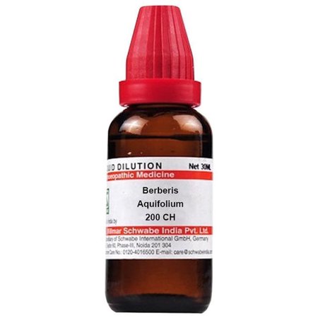 Dr Willmar Berberis Aqui Dilution 200 CH