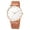 Rose Gold, variant on Resicozy Mens Watches Mesh Band Watches Quartz Watch Classic Numeral Watch for Business Casual Hands Mens Wrist Watches Rose Gold#1