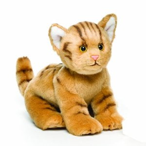 orange tabby stuffed animal