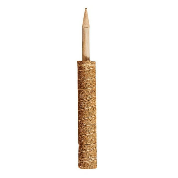 Matsuzay Poste trepador para plantas, palo de musgo de coco, palo de musgo de coco, soporte para plantas Type5 NO5 Matsuzay HA007104-02