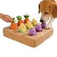 thumbnail image 6 of dgysar Garden Carrot Snuffle Mat for Dogs and Cats Interactive Foraging Brain Challenge Puzzle Toy for Small Medium Dogs Slow Feeder Enrichment Activity Pad, 6 of 7