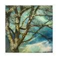 thumbnail image 1 of Elm Tree Expressionism - Canvas, 1 of 10
