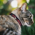 thumbnail image 2 of Buckle-Down Breakaway Cat Collar With Bell, Plastic Clip, Easy Adjustable, Rip City Stripe Mesh Black Gray Red, 8.5 to 12 Inches 0.5 Inch Wide, 2 of 4