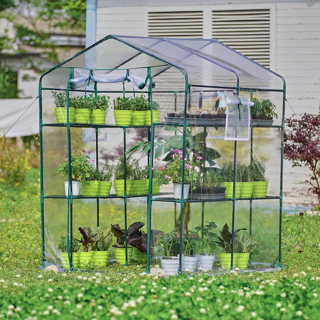 3 Tiers 6 Shelves 56x29x77 with 50 Plant Name Tags Quictent Greenhouse with Screen Door and Windows Walk-in Plant Garden Greenhouse for Indoor Outdoor 10 Stakes & 4 Ropes Green PE Cover 