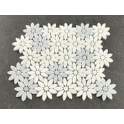 Thassos White & Blue Celeste Marble Daisy Waterjet Mosaic Wall & Floor Tile – Case (10 Sheets)