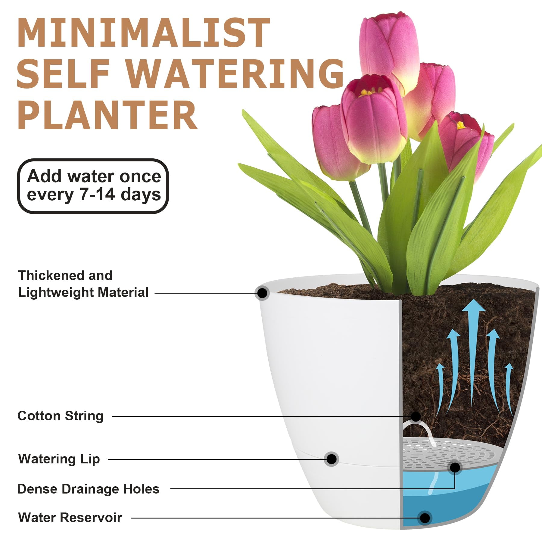 Self Watering Plant Pots Set of 5 with Drainage Holes and Saucers, Plastic Flower Planters for Indoor and Outdoor Gardening, Various Sizes