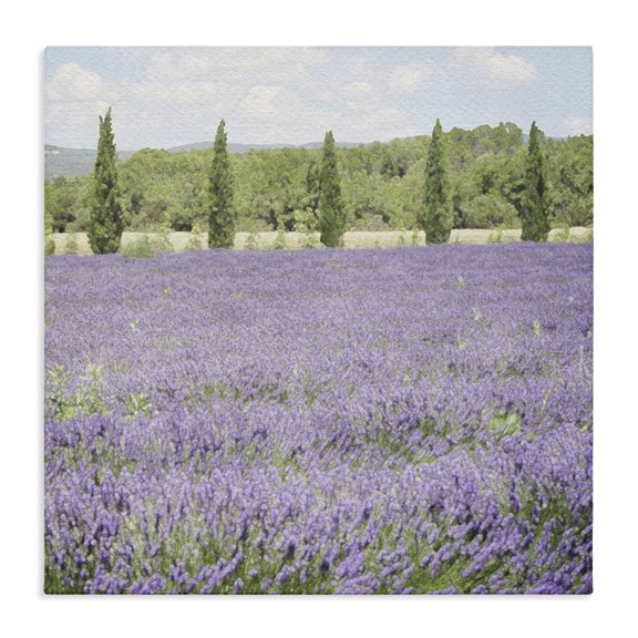 Stupell Industries Transitional Country Lavender Meadow Canvas Art, 24 x 24, by LSR Design Studio