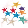 thumbnail image 4 of unbranded 10Ud Adornos De De Mar Para Del Hogar Y Proyectos Artesanales, 4 of 6