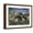 Brown Frame, variant on Art.com Stegosaurus Defending Himself from T-Rex and Some Utahraptors Art Print by Stocktrek Images, 16" x 12"