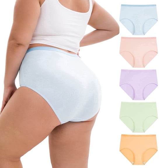 INNERSY Women's Plus Size Cotton Underwear XL-6XL High Waisted Briefs Panties 5-Pack(3XL,Bloom)