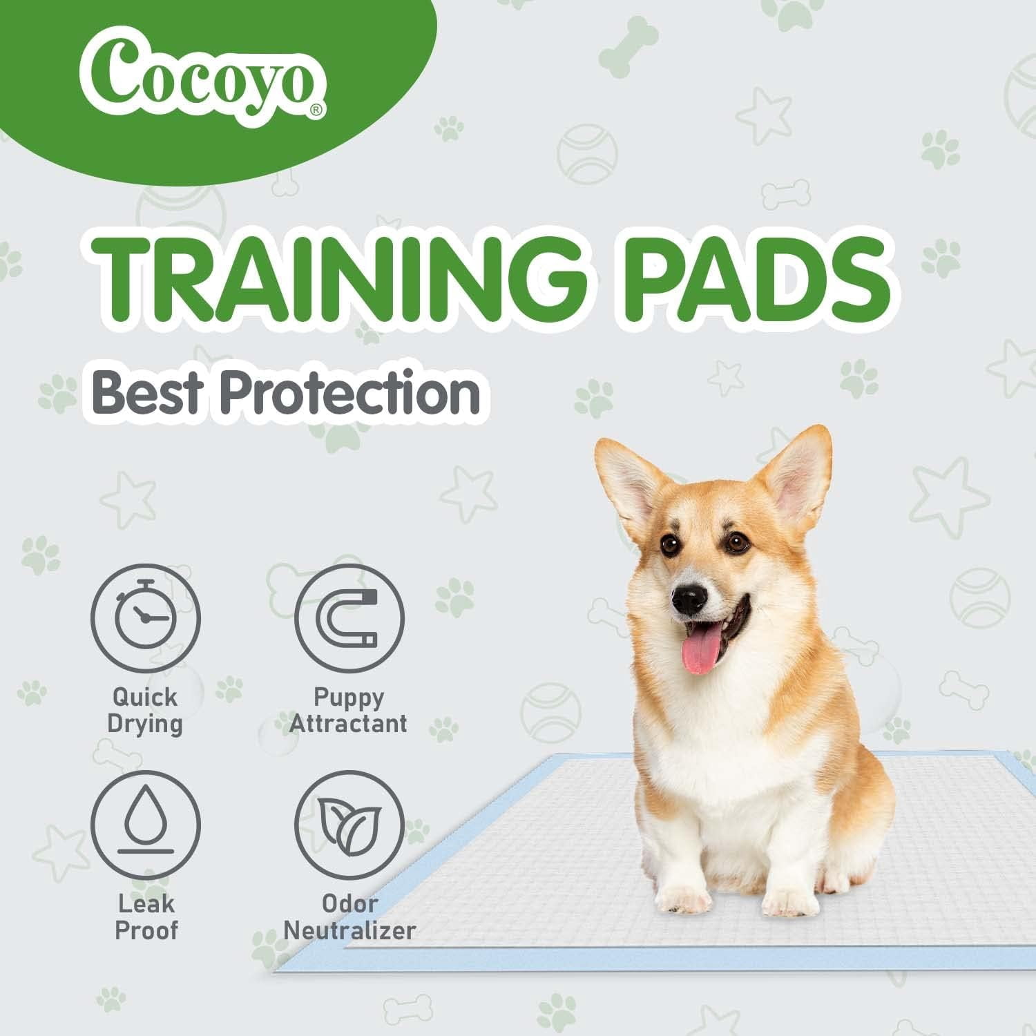 nobrand Best Value Training Pads 100 Count 13“ by 17.7”| Dog Pee Pads | Super Absorbent Puppy Pads,Blue
