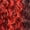 Red Whisper, variant on It's A Wig! 5G True HD Transparent Lace Kenzia Wig