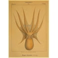 thumbnail image 4 of Carteles de pulpo abstracto Retro Vintage Kraft, animales marinos, carteles modulares e impresiones, imágenes artísticas de pared, sala de estar y hogar, 4 of 4