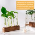 thumbnail image 3 of Hyindoor 5 PCS Glass Test Tube Vases Plant Propagation Stations, Desktop Glass Plant Terrarium with Wooden Stand for Office Home Garden Wedding, 3 of 7