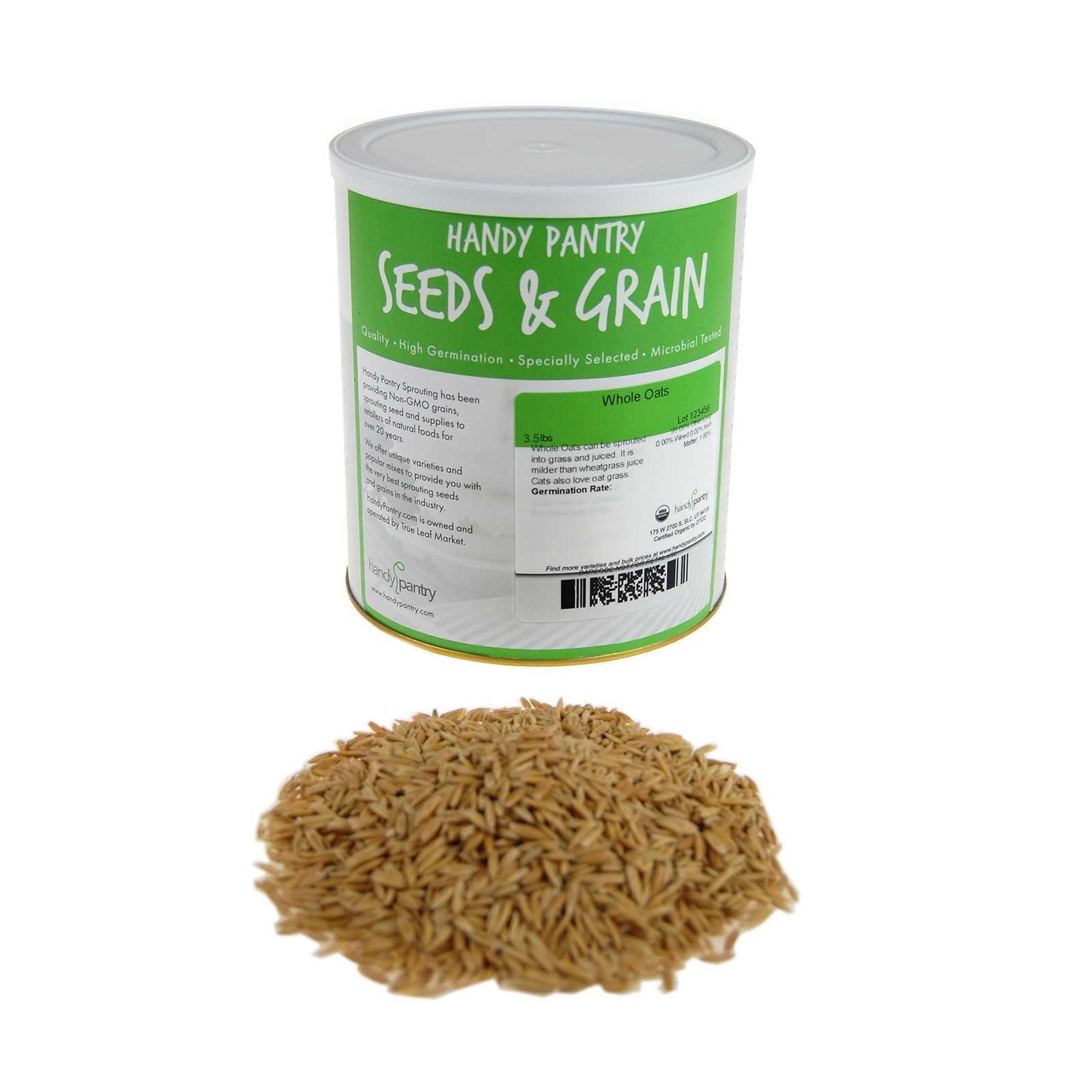 Organic NonGMO Whole Oat Grain Seeds (With Husk Intact) 3.5 Lb Re