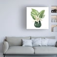 thumbnail image 3 of Silvia Vassileva 'Tropical Leaves I on White' Canvas Art, 3 of 3