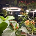 thumbnail image 4 of Deago Grow Lights for Indoor Plants Full Spectrum LED Plant Growing Lamp Ring Light with Automatic Timer Height Adjustable, 4 of 11