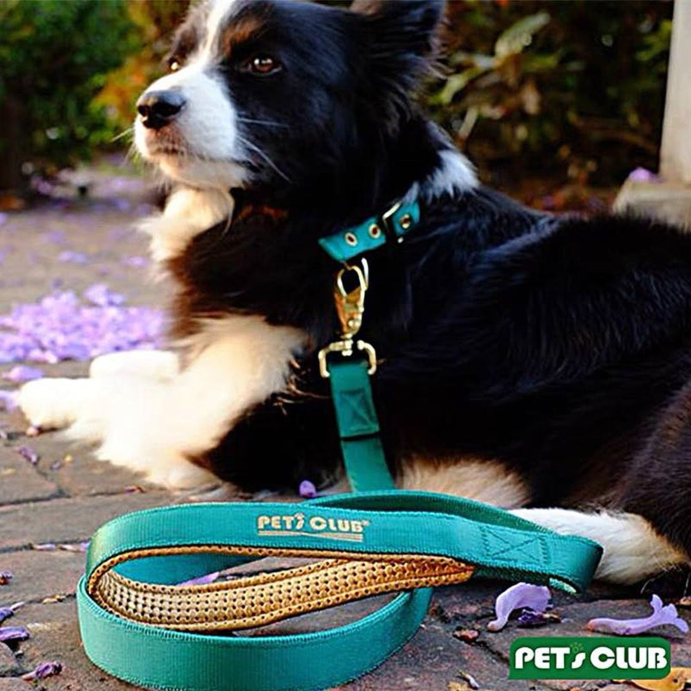 Premium Dog Collar Leash Set with Soft Handle AntiOdor Collar