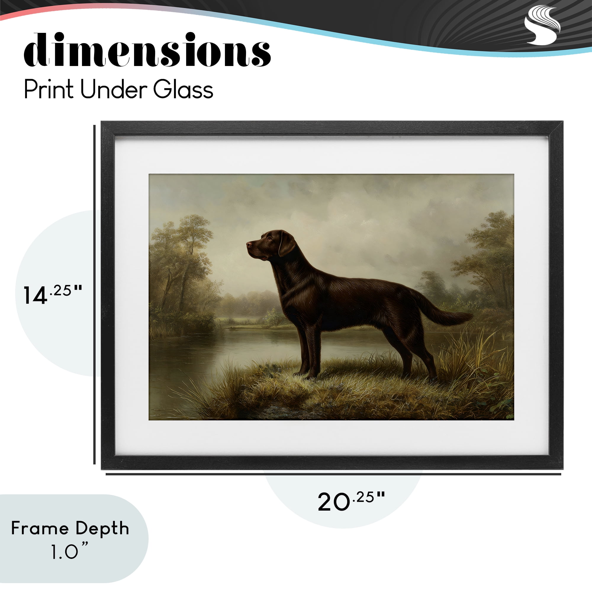 Stupell Industries On Alert Chocolate Lab Black Framed Print Under Glass, design by Petal Prints Design