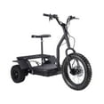 mototec 48v 800w electric trike
