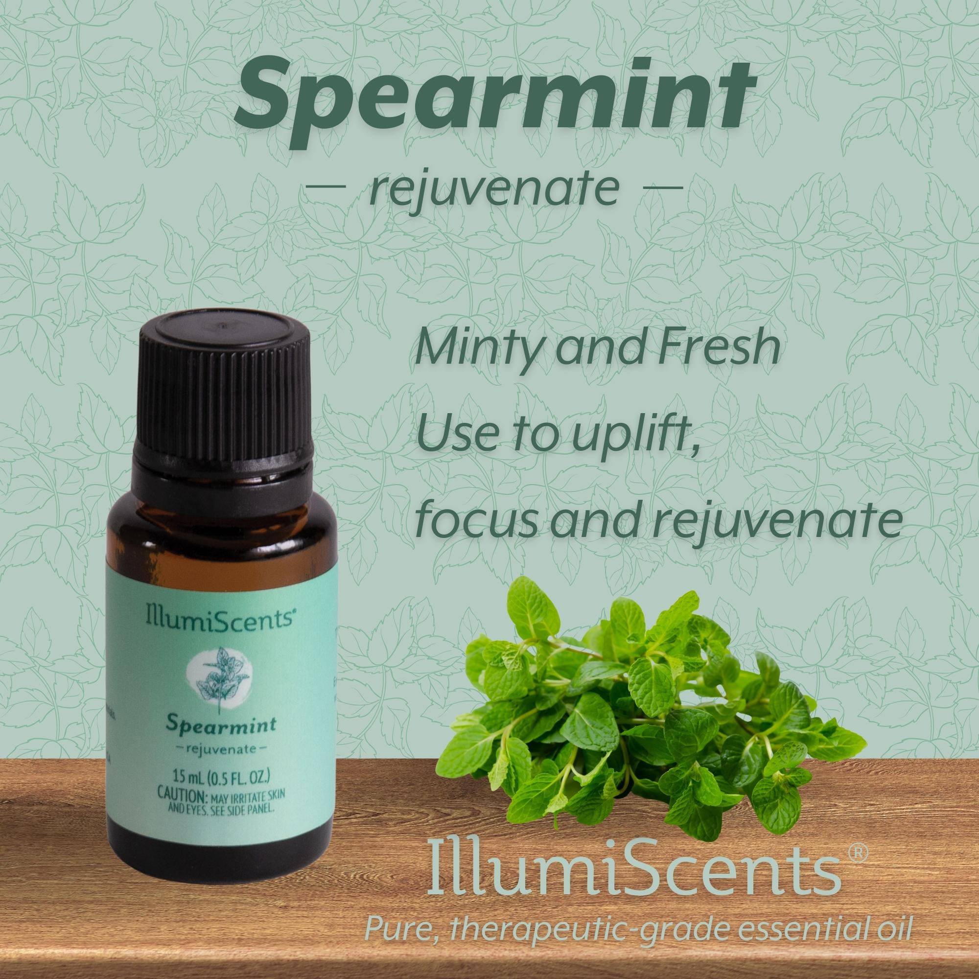 Spearmint essential oil 15 ml. - Bliz Wellness