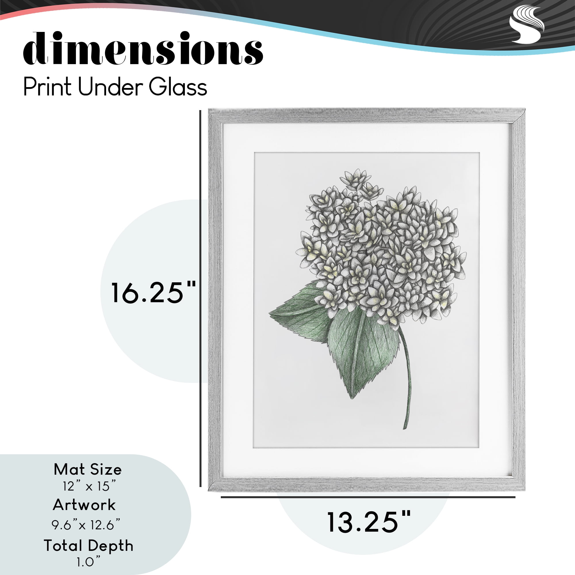 White Hydrangea Sketch Blossom Gray Framed Print Under Glass, design by Cecilia Battaini