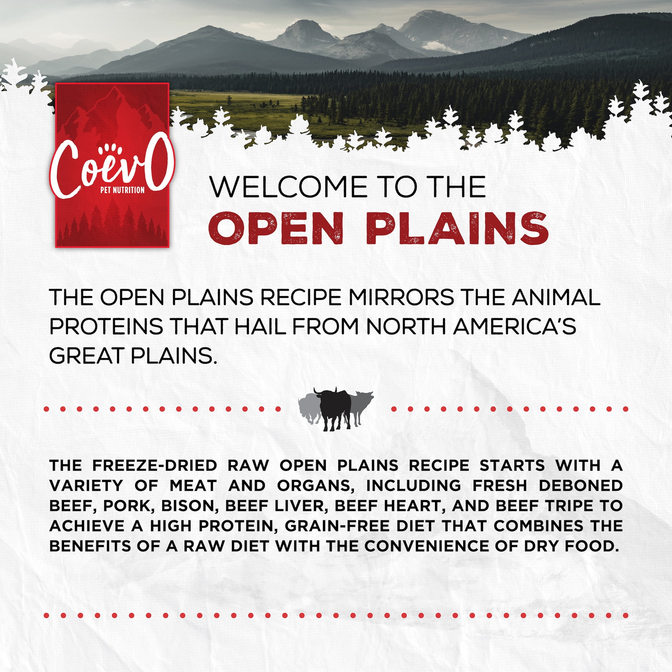 COEVO | Freeze-Dried Raw Open Plains Beef, Pork, & Bison Recipe for Dogs • 1lb / 454g | Skin & Coat, Bone & Joint, and Digestive Support | High Protein Grain Free Dry Dog Food