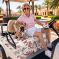 thumbnail image 3 of Golf Cart Seat Covers for 2 Seater,Red Garden Vintage Soft Microfiber Cart Seat Towel Blanket,Modern Art Building Boat Tree Absorbent Breathable Non Slip Bench Seats Protector for Golf Course 51"x31", 3 of 9