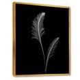 thumbnail image 2 of Designart "Monochrome Simplified Fern" Ferns Floater Framed Canvas Prints, 2 of 5