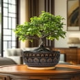 thumbnail image 4 of Ordivic 8 Inch Black Ceramic Bonsai Pot with Drainage Hole and Saucer – Shallow Round Planter for Succulents, Indoor Plants, Boho Home Decor, 4 of 8