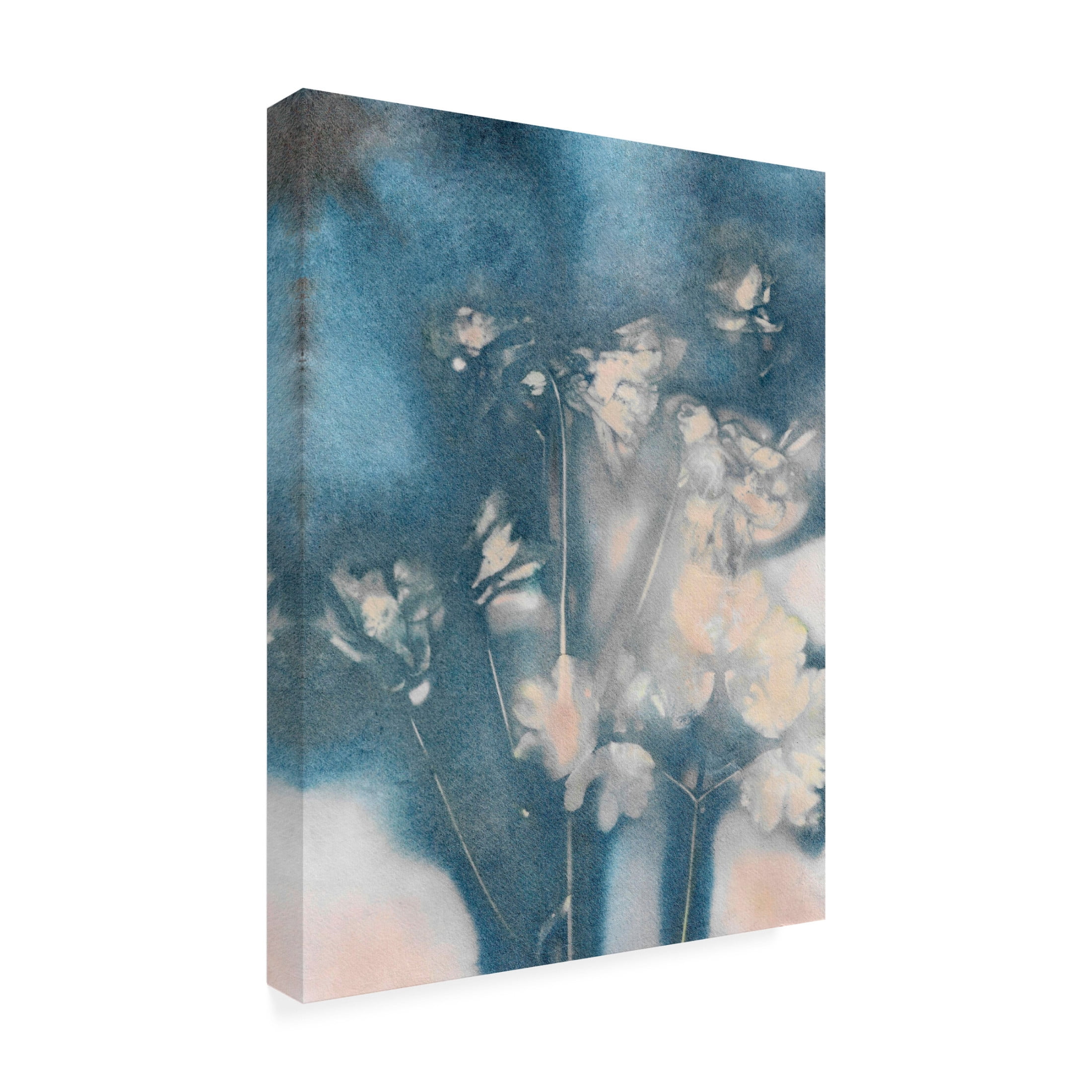 Canvas Wall Art - Pernille Folcarelli 'Columbine 2 Peach Blue' Wall Art for Living Room, Bedroom, or Office Décor by Trademark Fine Art - 14 x 19 Inches