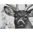 thumbnail image 2 of Cusson, Marie Elaine 14x12 Gold Ornate Wood Framed with Double Matting Museum Art Print Titled - Deer landscape, 2 of 4