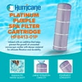 thumbnail image 2 of Hurricane 4 Pack HF8413-01P Platinum Purple Pool Filter Cartridge Replacement, 2 of 8