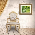 thumbnail image 3 of Eggers, Julie 18x15 Gold Ornate Wood Framed with Double Matting Museum Art Print Titled - California-San Diego Close up of an Agave plant (Agavaceae), 3 of 4