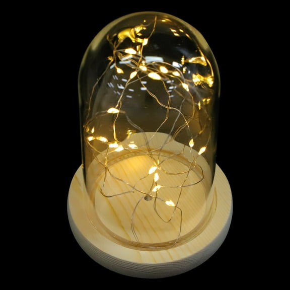HOMEMAXS 1PC Stylish Glass Dome Decor Elegant Glass Cover String Light Decoration