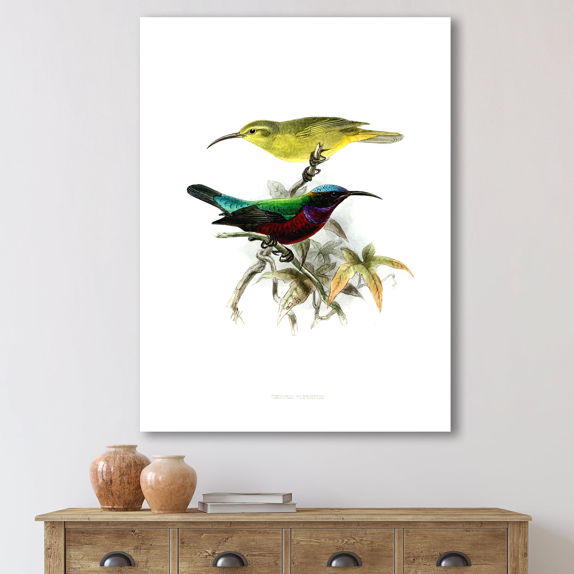 Designart ' Ancient Australian Birds XV ' Traditional Canvas Wall Art Print