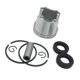 thumbnail image 1 of 2x de PISTÓN de 42.5 Mm El Sello de Aceite Anillos de Pistón Se La La Adaptaciónción a La Motosierra 025 For For For Cola Juego de pasadores de anillo de pistón, 1 of 5