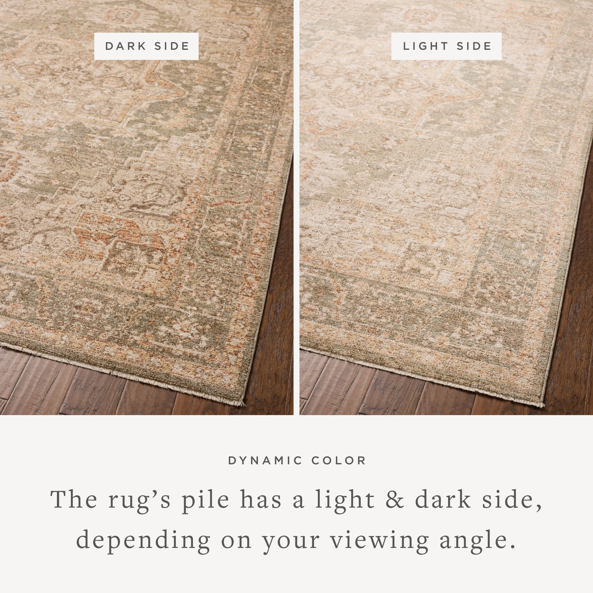 Chris Loves Julia x Loloi Palma Olive / Spice 6'-3" x 9'-6" Area Rug