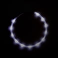thumbnail image 4 of Collar de perro LED recargable Collar de seguridad ligero para mascotas de silicona,, 4 of 5