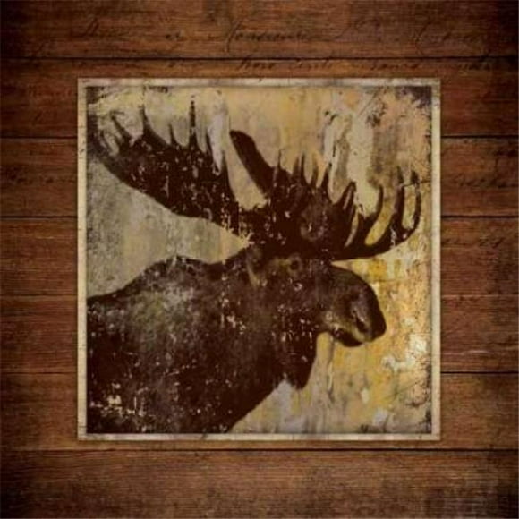 Stephanie Marrott Art PDXSM10255LARGE Moose Portrait Poster Print by Stephanie Marrott, 24 x 24 - Large