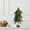 Green, variant on Blueek Tabletop Mini Christmas Trees, 16.5 Inch Miniature Pine Tree with Wood Base Crafts Trees Artificial for Christmas Decorations Home, Kitchen, Dining Table