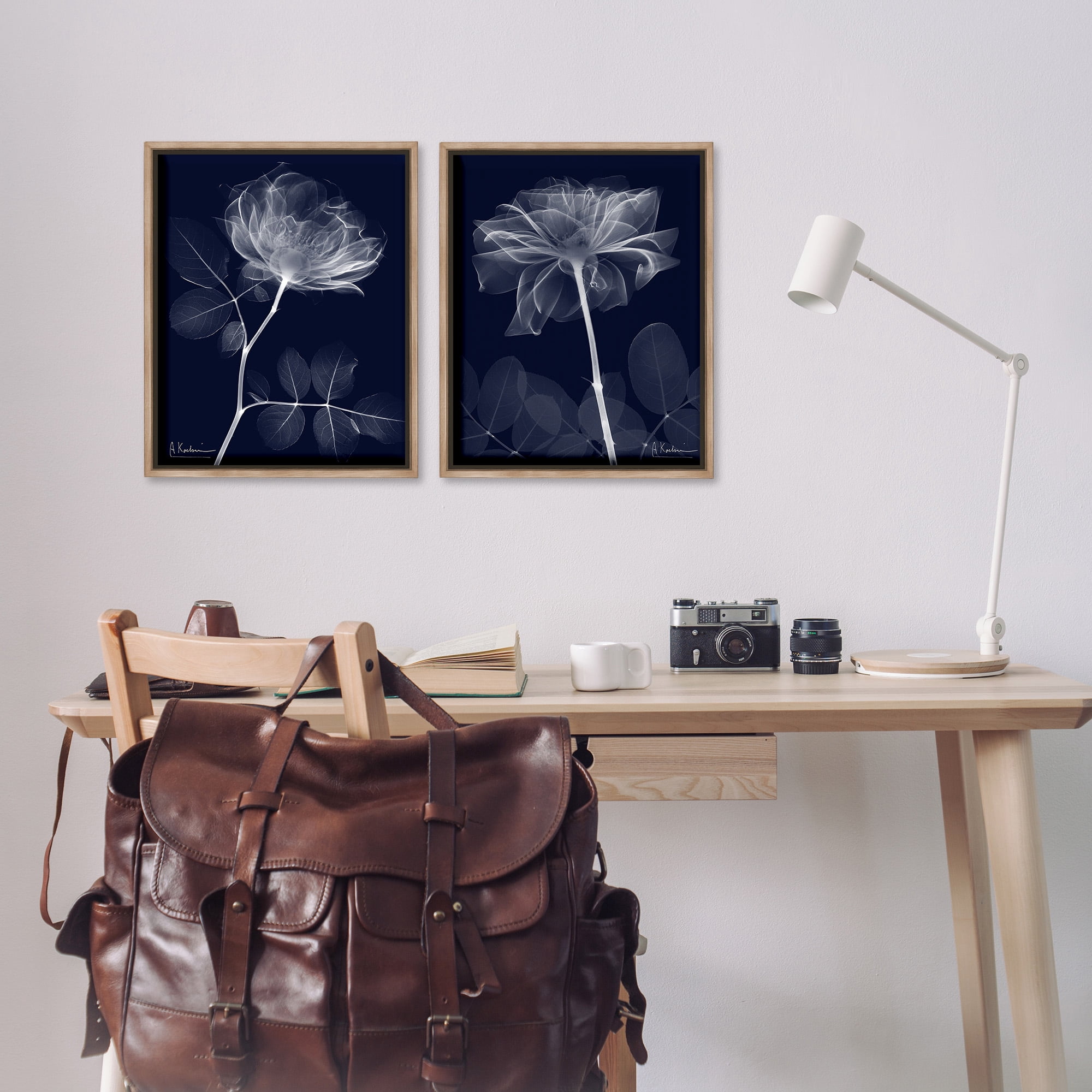 Stupell Industries X-Ray Blossom on Black Botanical & Floral Photography Brown Floater Framed Canvas Art Print Wall Art, 17 x 21, Set of 2