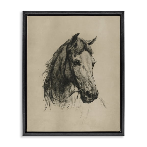 Stupell Industries Charcoal Horse Portrait Animals Drawing Black Floater Framed Canvas Art Print Wall Art, 17 x 21