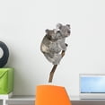 thumbnail image 1 of Koala Bears Climbing Tree Wall Decal by Wallmonkeys Peel and Stick Graphic (18 in H x 9 in W) WM122561, 1 of 4