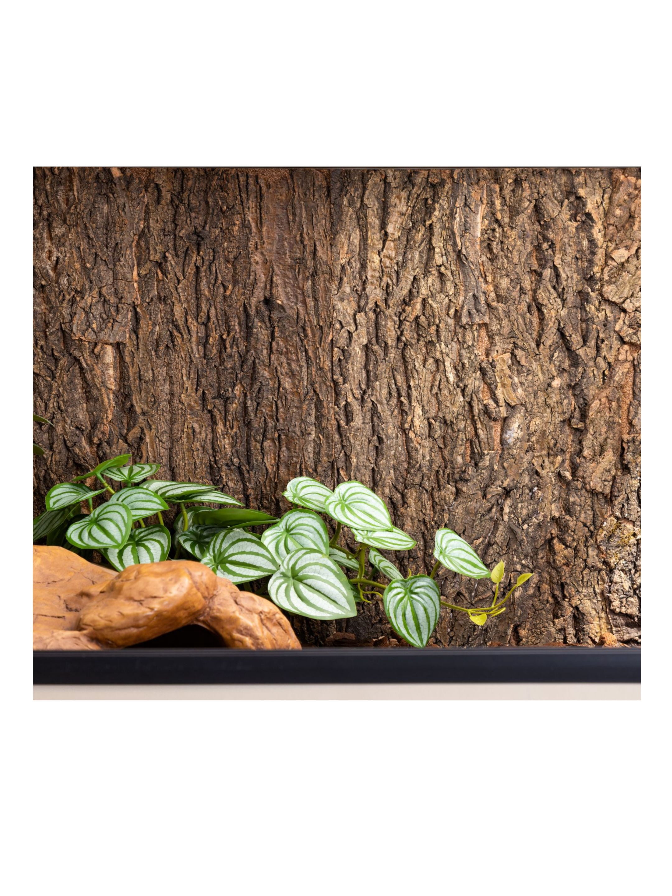 New Age Pet Cork Terrarium Background for Mojave Reptile Lounge, Natural and Moisture-Resistant