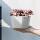 thumbnail image 4 of Hanging Plant Indoor Planters Art Decor Modern Wall And Ceiling Planter Flower Pot Hold Planters Hanger For Home Decor, 4 of 7